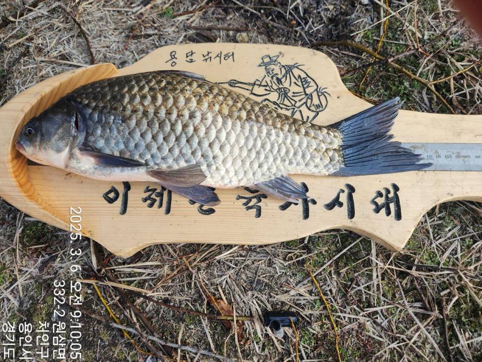 2025년 3월 첫째주 조황정보 용담낚시터사암지 (유료터정보 - 유료터점주조황)