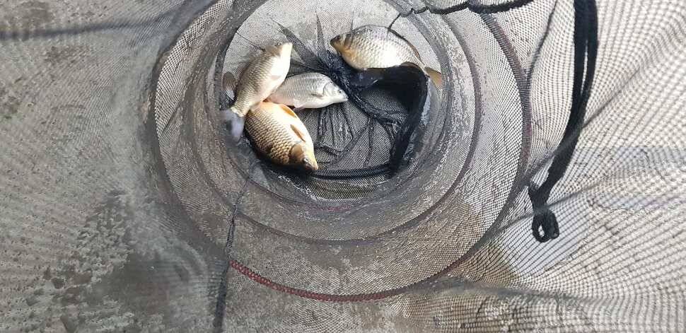 양평 수곡낚시터 320327 개장기념품 증정 및 일월요일 조황 안내 (유료터정보 - 유료터점주조황)