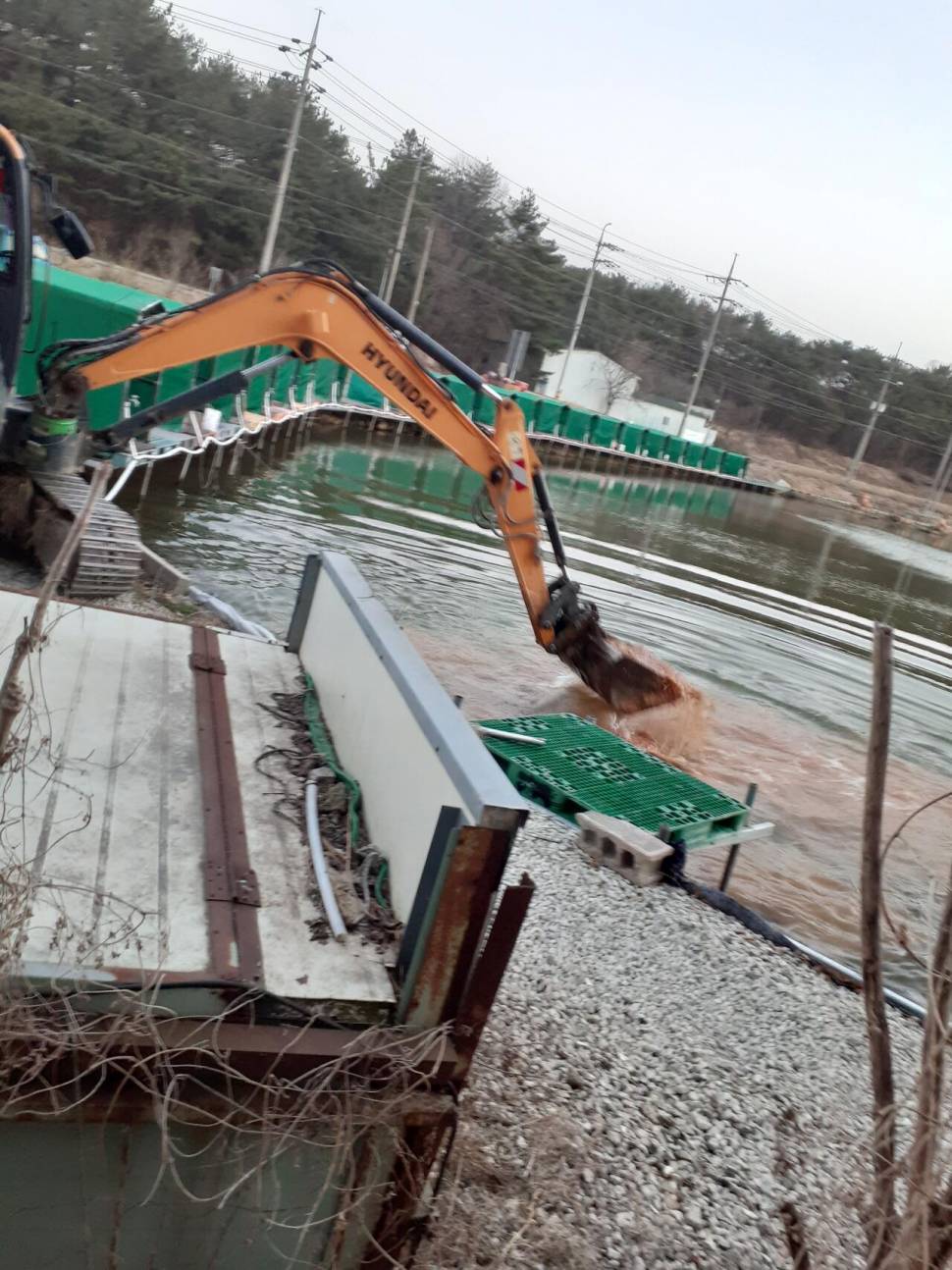 경주 동산낚시터붕어 전용잡이터 1차 방류 (유료터정보 - 유료터점주조황)