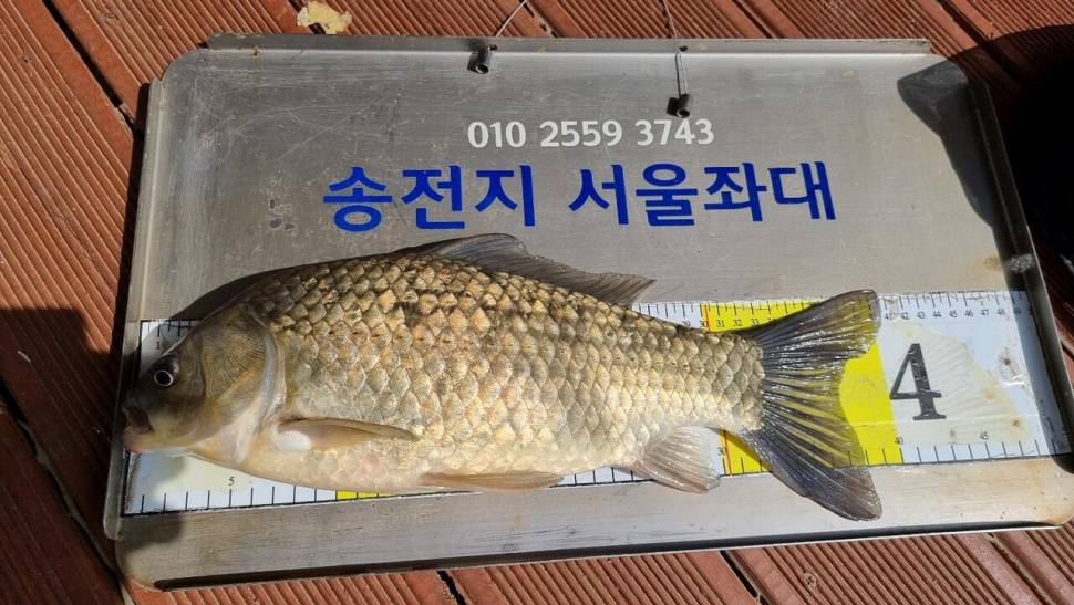 송전지서울좌대5월19일조황 (유료터정보 - 유료터점주조황)