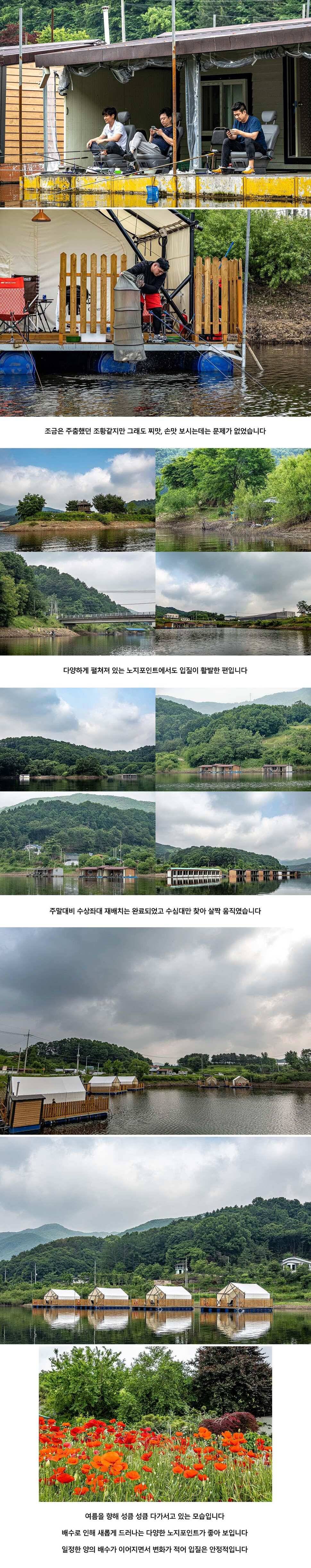 안성 두메낚시터 6월 4일 조황정보 (유료터정보 - 유료터점주조황)