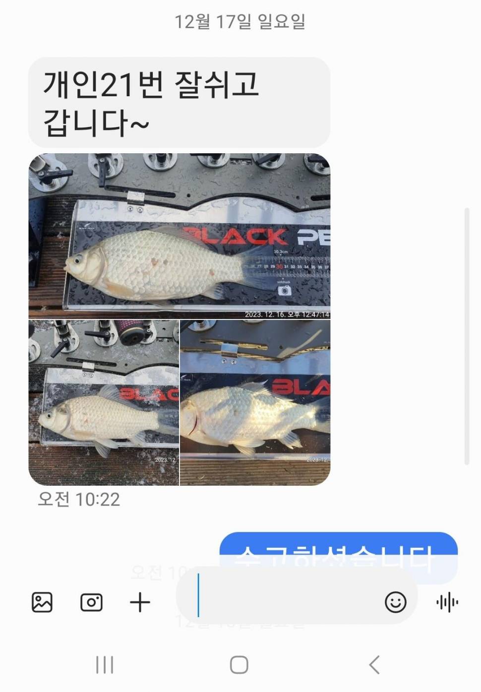2023년 12월 넷째주 조황정보 용담낚시터사암지 (유료터정보 - 유료터점주조황)