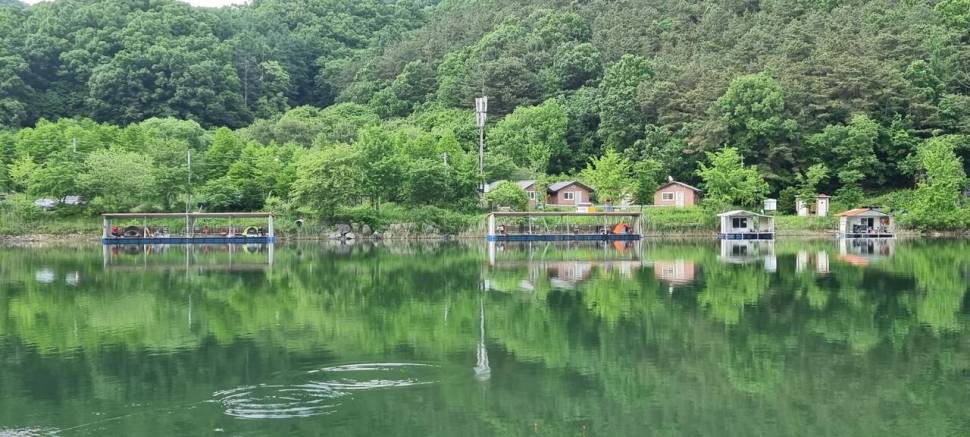 금요일 토요일 주말 힐링 양평 수곡낚시터 조황 꾸준한 편입니다 (유료터정보 - 유료터점주조황)