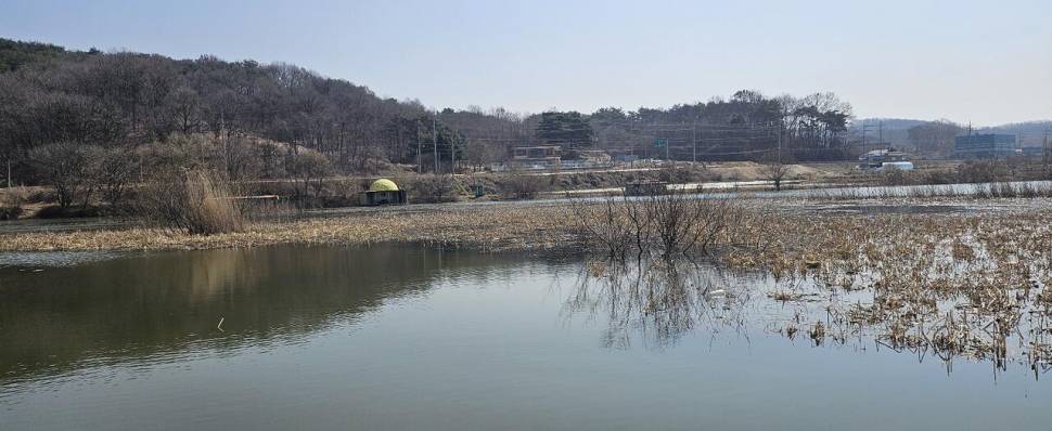 당진 가교리 낚시터 3월 28일 조황입니다 (유료터정보 - 유료터점주조황)
