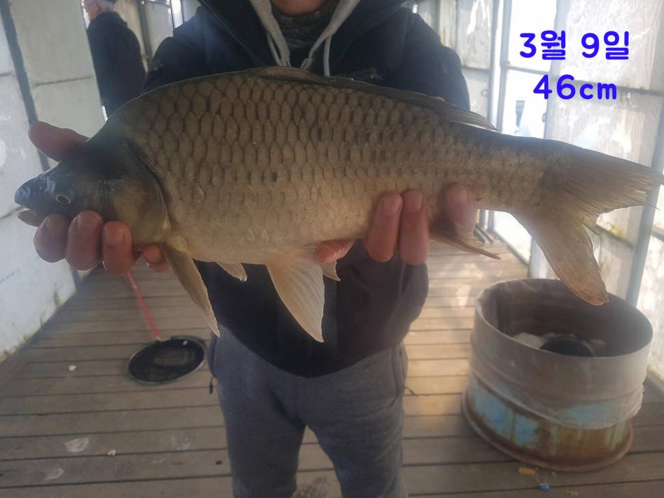 드디어 터졌습니다 (유료터정보 - 유료터점주조황)