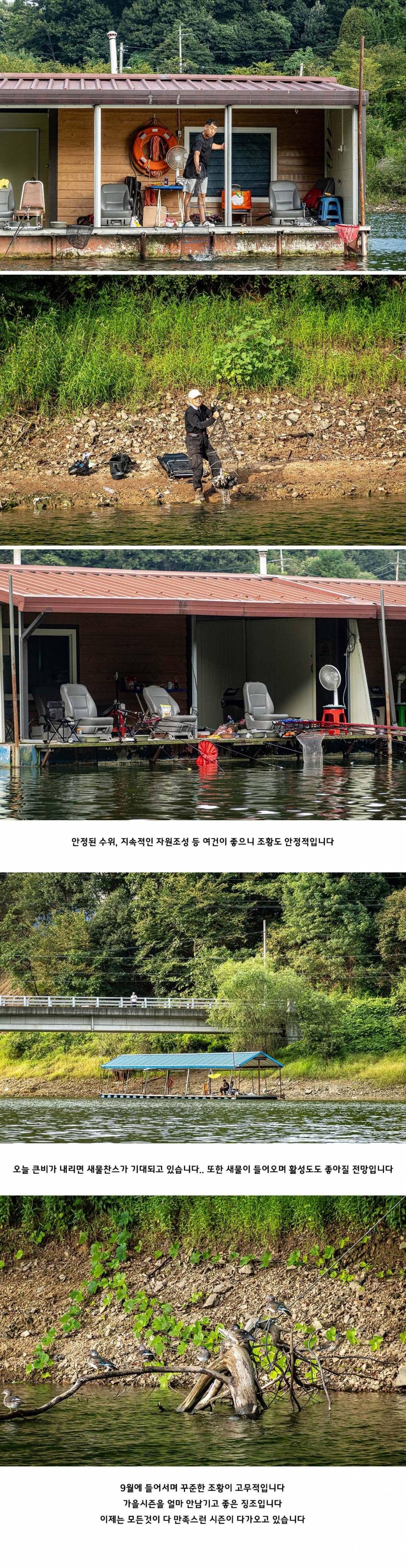 안성 두메낚시터 9월 6일 조황정보 (유료터정보 - 유료터점주조황)