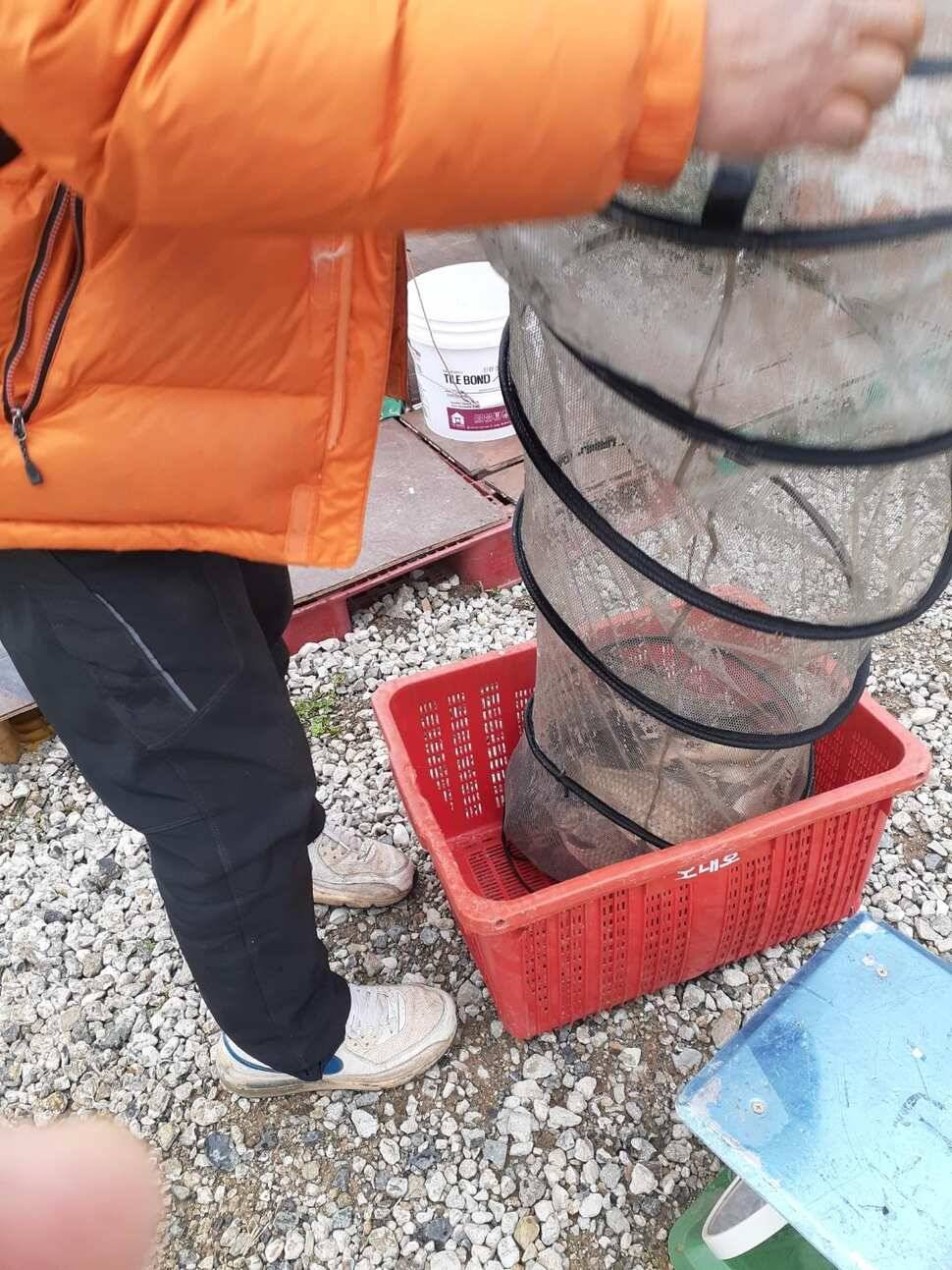 경주 동산낚시터붕어 전용잡이터지난주 조황 (유료터정보 - 유료터점주조황)