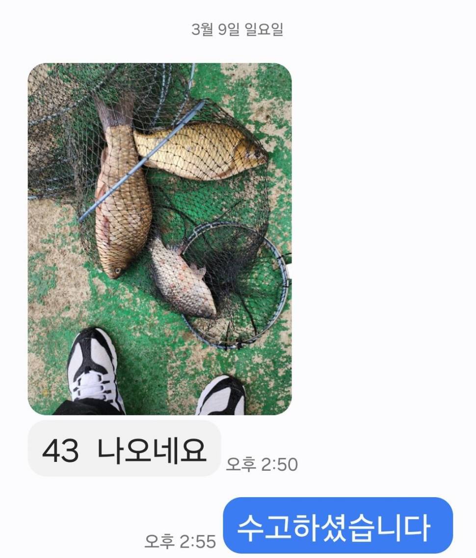 2025년 3월 셋째주 조황정보 용담낚시터사암지 (유료터정보 - 유료터점주조황)