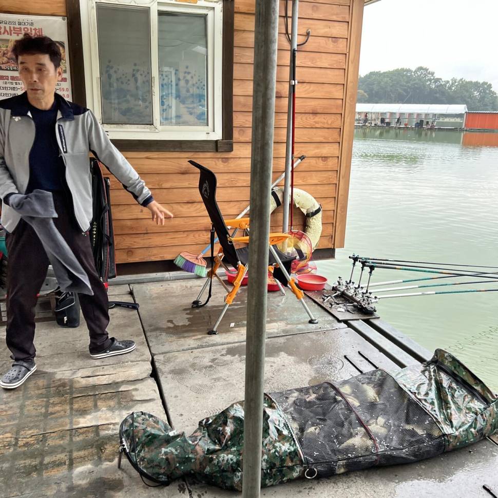 주말 붕어 방류 와 조황입니다 (유료터정보 - 유료터점주조황)