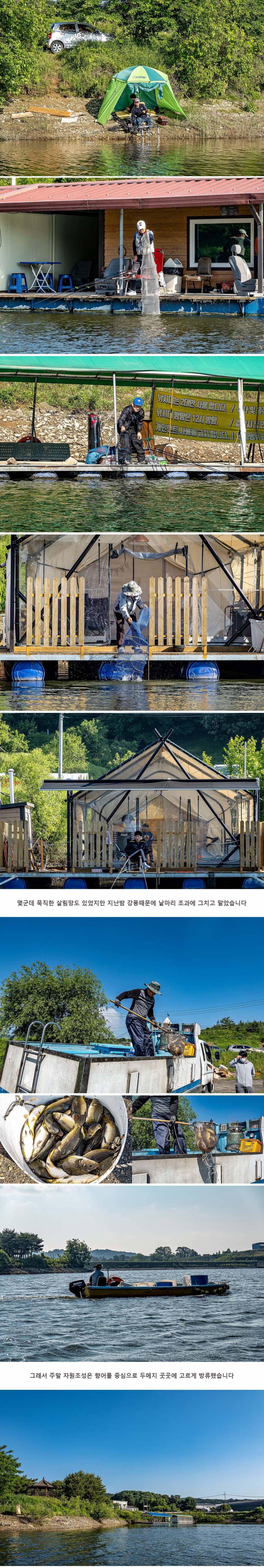 안성 두메낚시터 5월 29일 조황정보 (유료터정보 - 유료터점주조황)