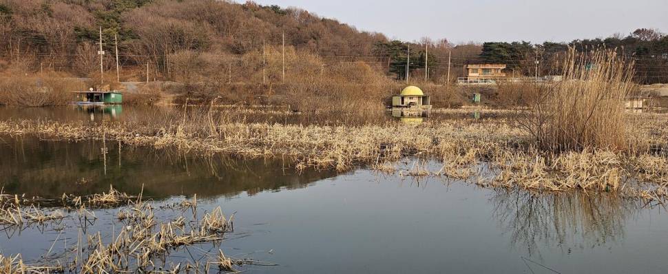 당진 가교리 낚시터 3월 11일 조황입니다 (유료터정보 - 유료터점주조황)