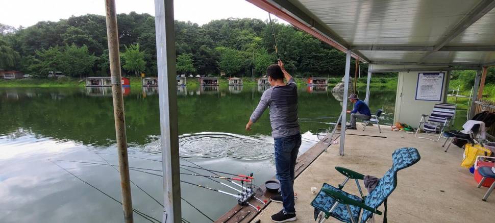 힐링 여름휴가 피서낚시 수곡낚시터 중복날 일요일 조황 (유료터정보 - 유료터점주조황)