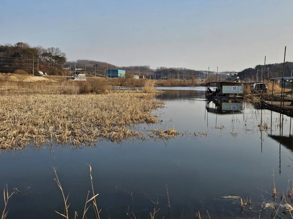 당진 가교리 낚시터 3월3일 조황입니다 (유료터정보 - 유료터점주조황)