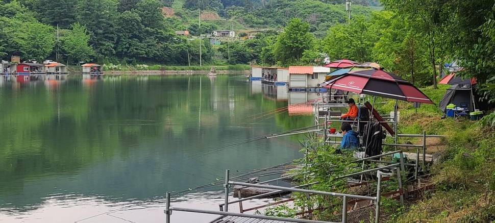 5월 끝주 금토 힐링 수곡낚시터 조황 및 방류 (유료터정보 - 유료터점주조황)