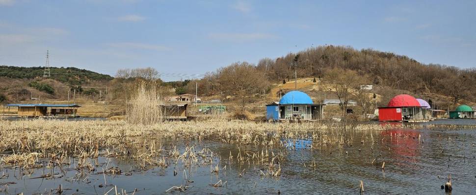당진 가교리 낚시터 3월 20일 조황입니다 (유료터정보 - 유료터점주조황)