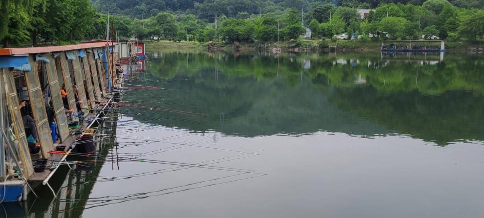 5월 끝주 금토 힐링 수곡낚시터 조황 및 방류 (유료터정보 - 유료터점주조황)