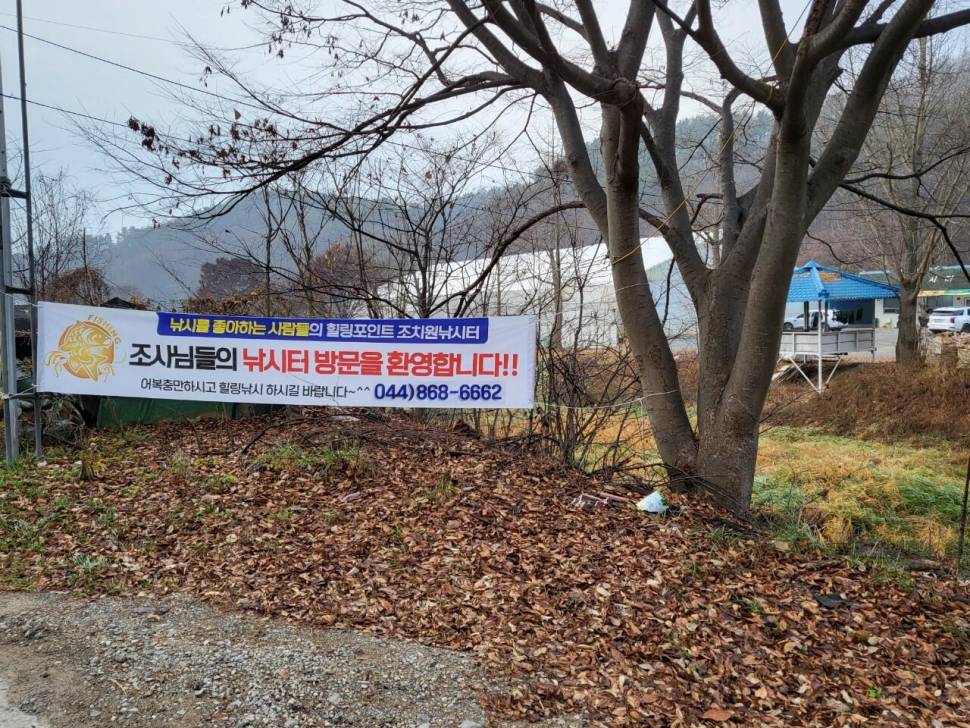 조치원낚시터 11월 15일추워도괜찮아 (유료터정보 - 유료터점주조황)