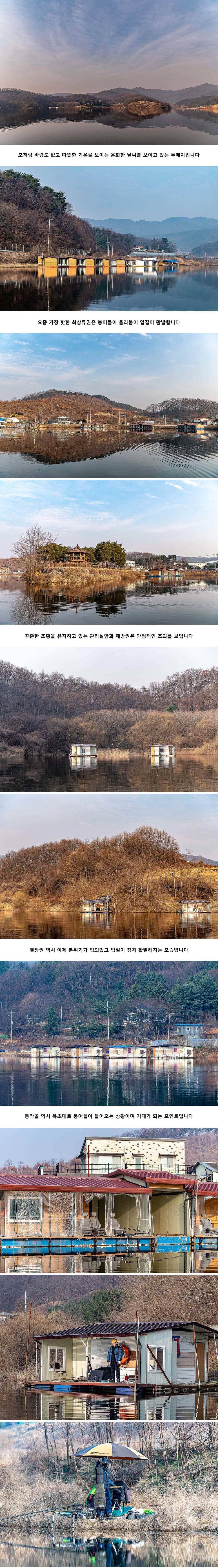 안성 두메낚시터 3월 9일 조황정보 (유료터정보 - 유료터점주조황)