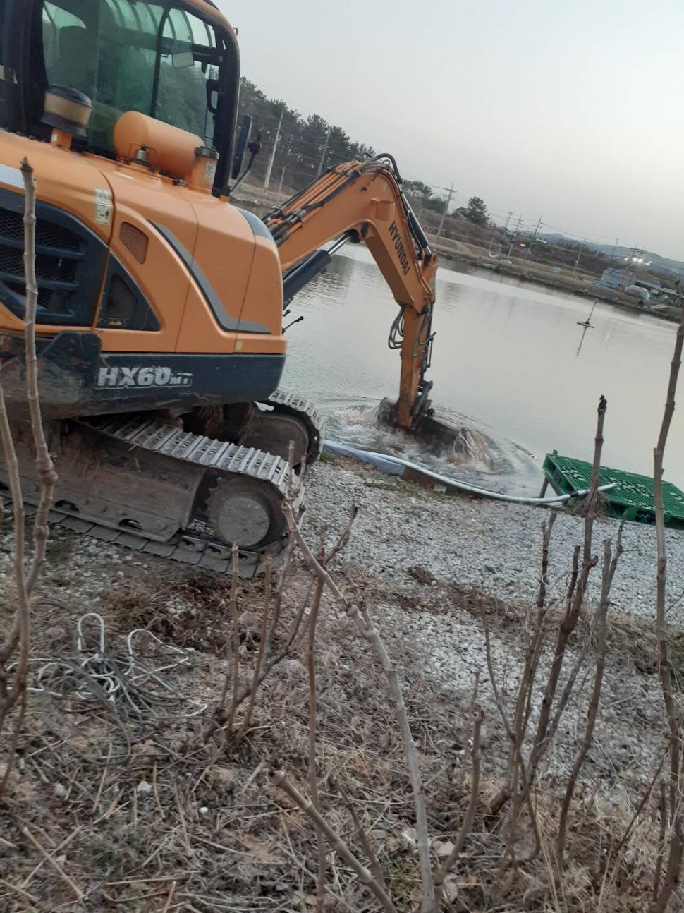 경주 동산낚시터붕어 전용잡이터 1차 방류 (유료터정보 - 유료터점주조황)