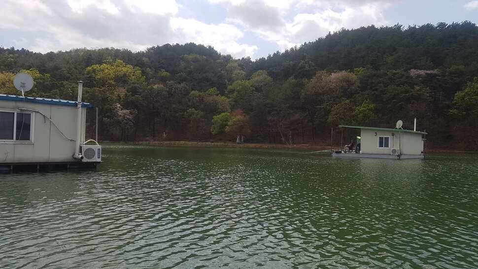 꽝없는 토종터 어우실지 모든조사님 월척을 하셨읍니다 (유료터정보 - 유료터점주조황)