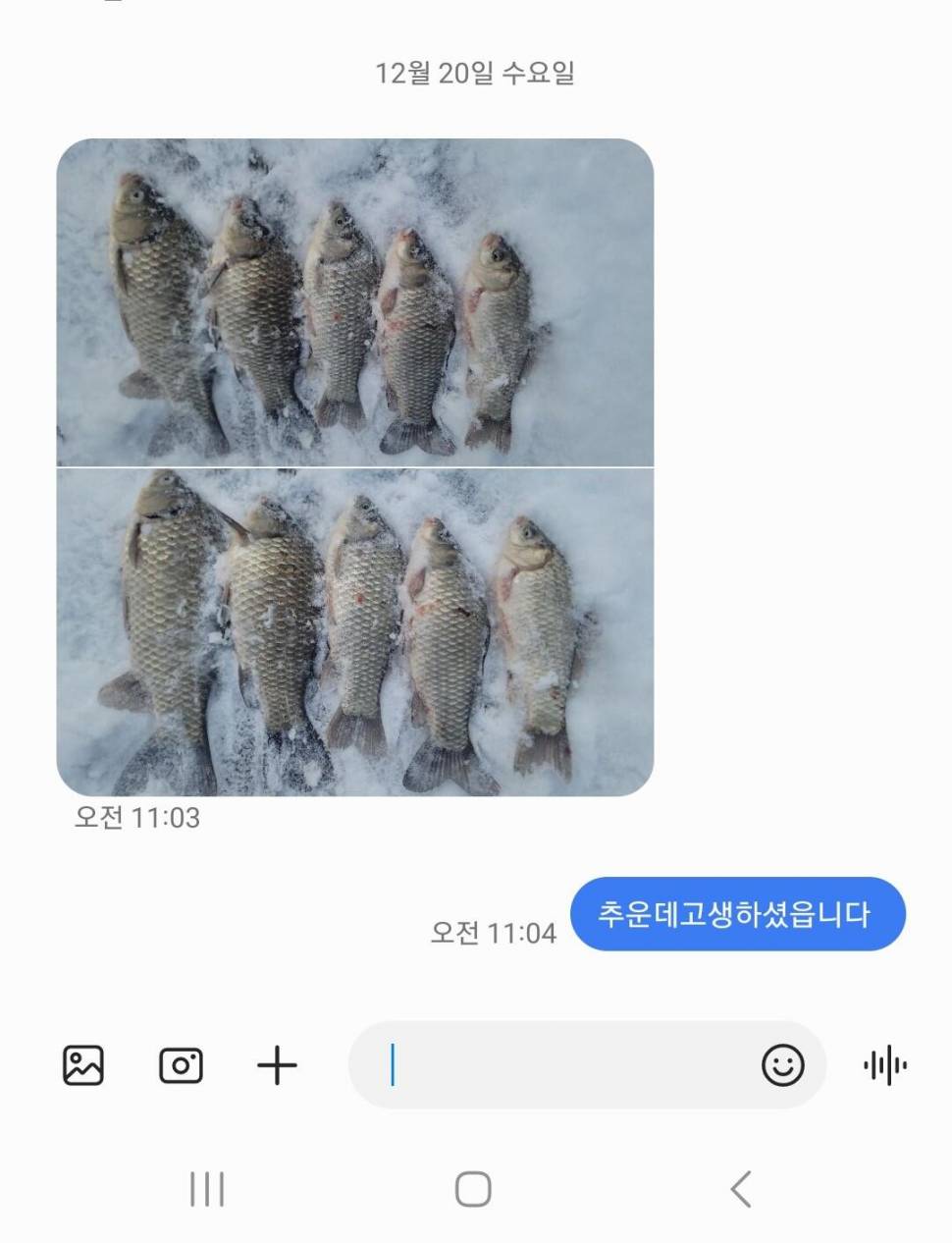 2023년 12월 넷째주 조황정보 용담낚시터사암지 (유료터정보 - 유료터점주조황)