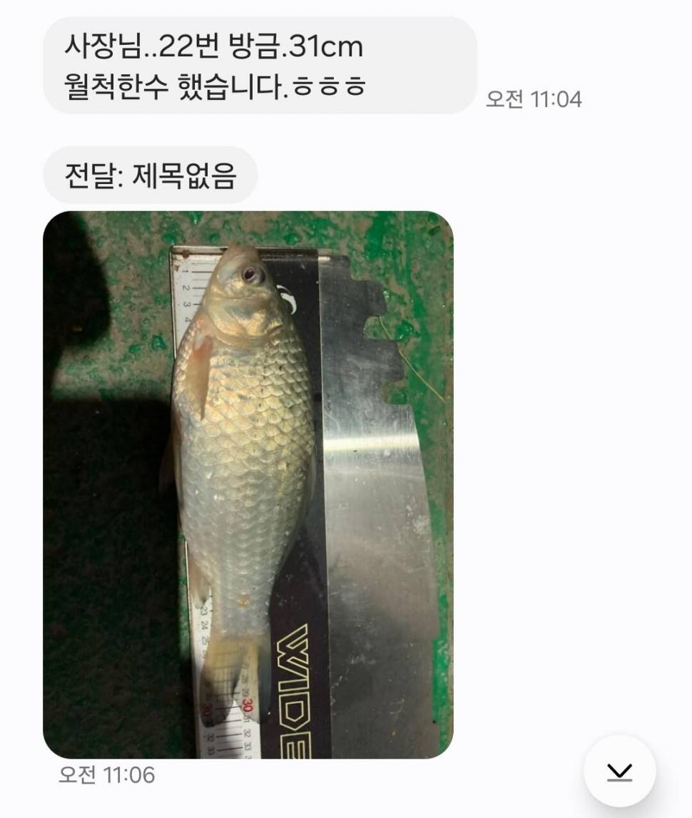 2025년 3월 첫째주 조황정보 용담낚시터사암지 (유료터정보 - 유료터점주조황)