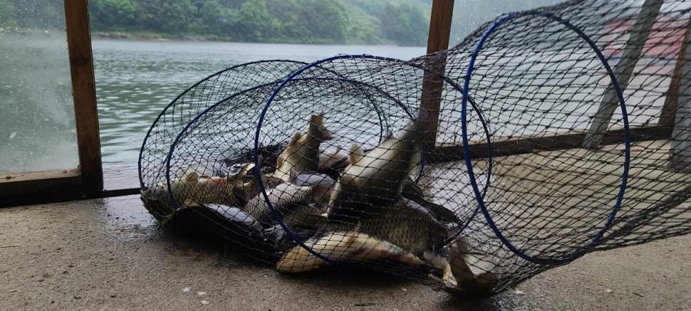 5월 끝주 금토 힐링 수곡낚시터 조황 및 방류 (유료터정보 - 유료터점주조황)