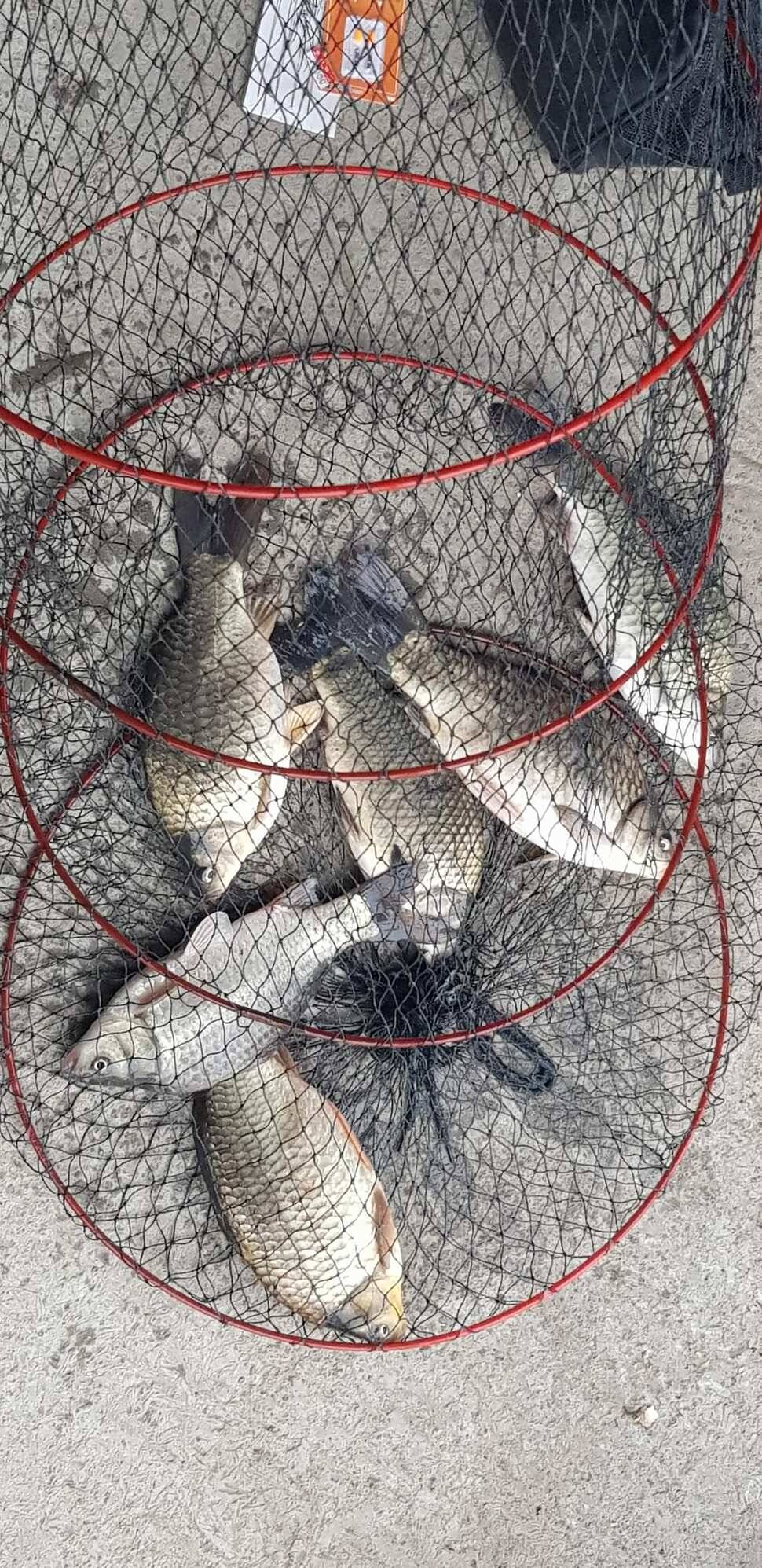 양평 수곡낚시터 320327 개장기념품 증정 및 일월요일 조황 안내 (유료터정보 - 유료터점주조황)