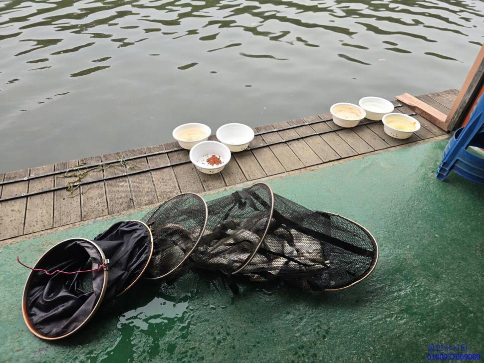 가깝고 물 좋고 경치 좋은 곳용인삼인낚시터 (유료터정보 - 유료터점주조황)