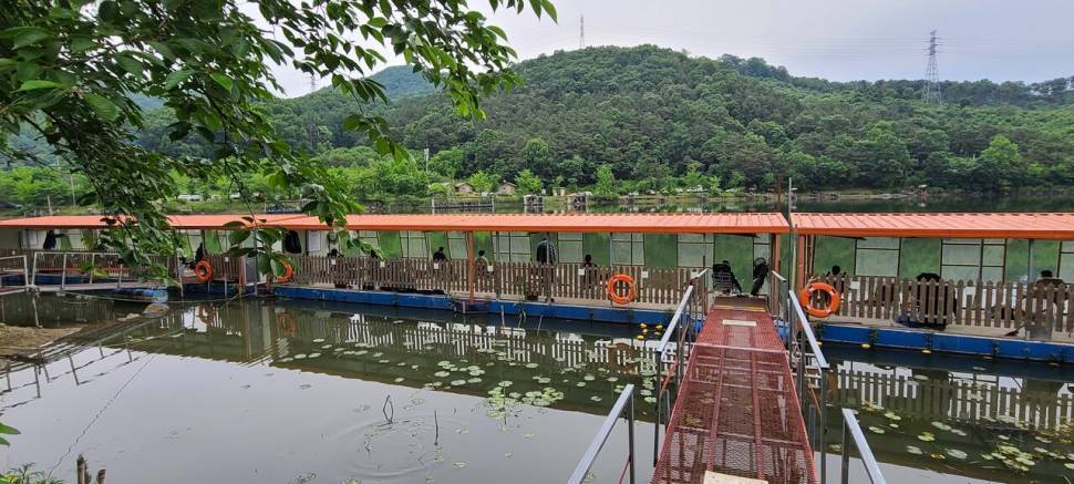 5월 끝주 금토 힐링 수곡낚시터 조황 및 방류 (유료터정보 - 유료터점주조황)
