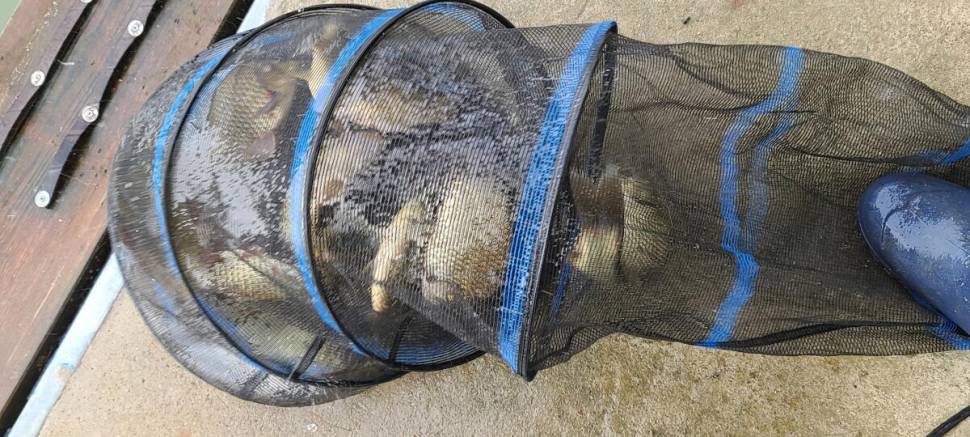 양평 힐링 붕어낚시 수곡낚시터 주말 좋은 조황 포함 고른편 이었습니다 (유료터정보 - 유료터점주조황)
