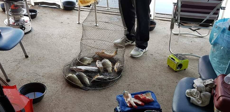 양평 수곡낚시터 3월 둘째주 주중 주말 조황안내붕어방류및 수상좌대 할인행사 연장 안내 (유료터정보 - 유료터점주조황)