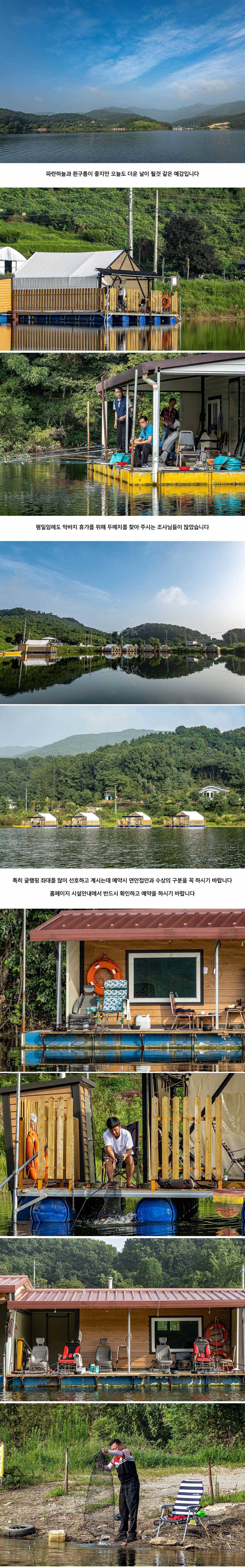 안성 두메낚시터 8월 20일 조황정보 (유료터정보 - 유료터점주조황)