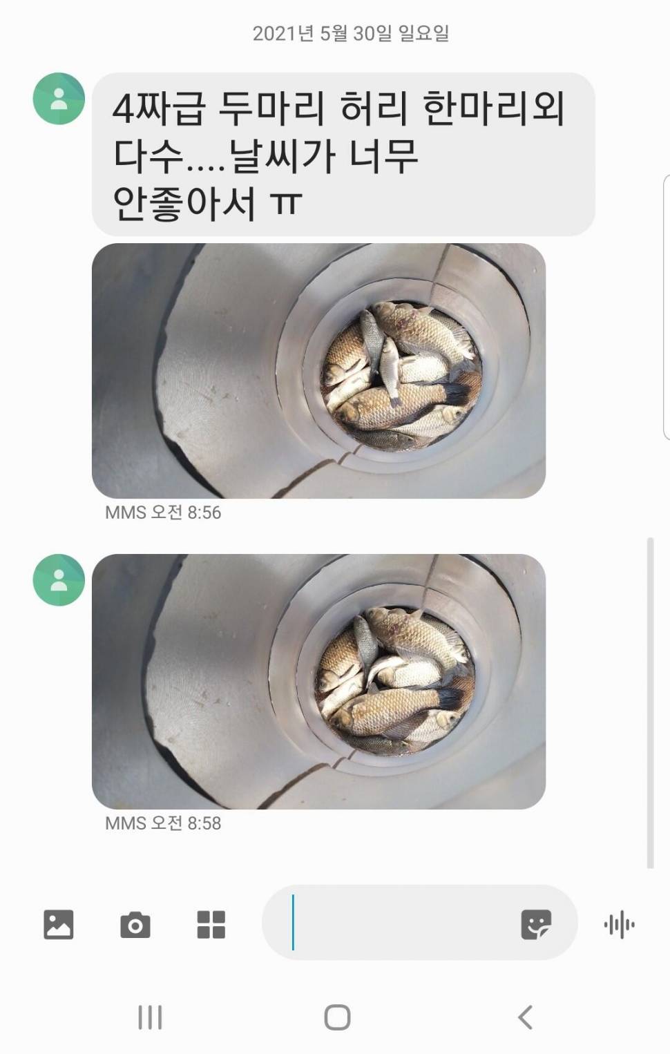 2021년 06월 첫째주 조황정보 용인 용담낚시터사암지 (유료터정보 - 유료터점주조황)