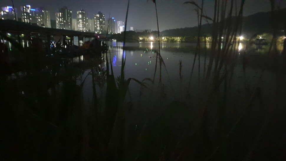 아산 명품 월랑낚시터 5월 네번째 조황이야기입니다 (유료터정보 - 유료터점주조황)