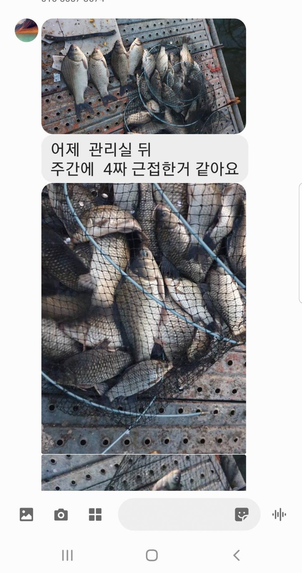 2021년 4월 둘째주 조황정보 용인 용담낚시터사암지 (유료터정보 - 유료터점주조황)