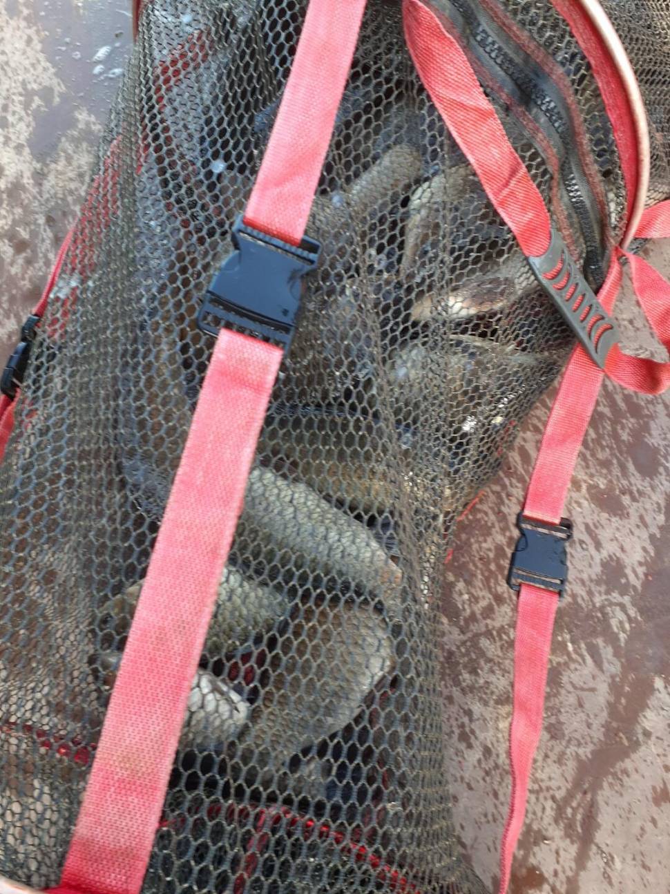 경주 동산낚시터붕어 전용잡이터지난주 조황 (유료터정보 - 유료터점주조황)