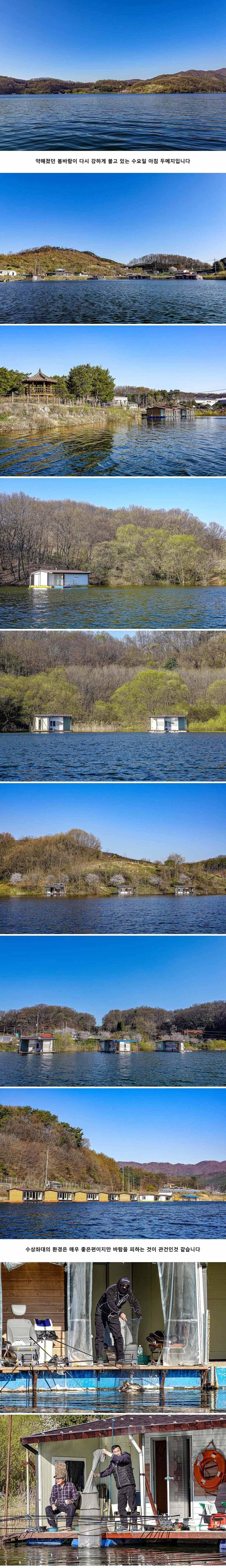 안성 두메낚시터 4월 8일 조황정보 (유료터정보 - 유료터점주조황)