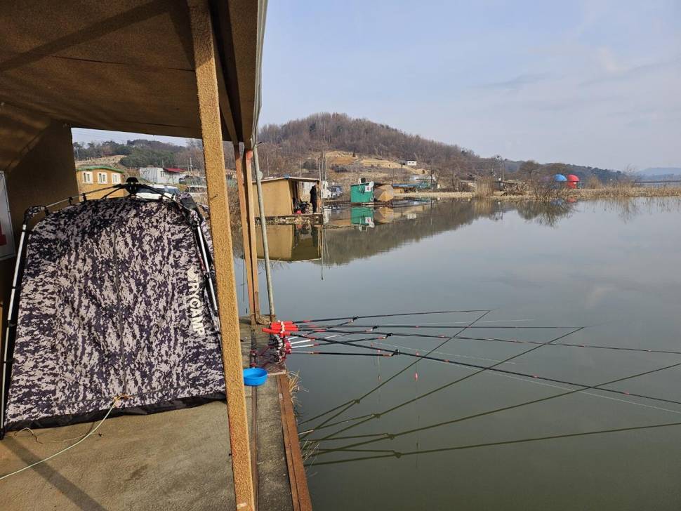 당진 가교리 낚시터 3월 11일 조황입니다 (유료터정보 - 유료터점주조황)