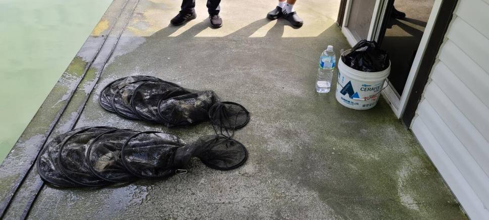 공주 고성낚시터 입니다 (유료터정보 - 유료터점주조황)