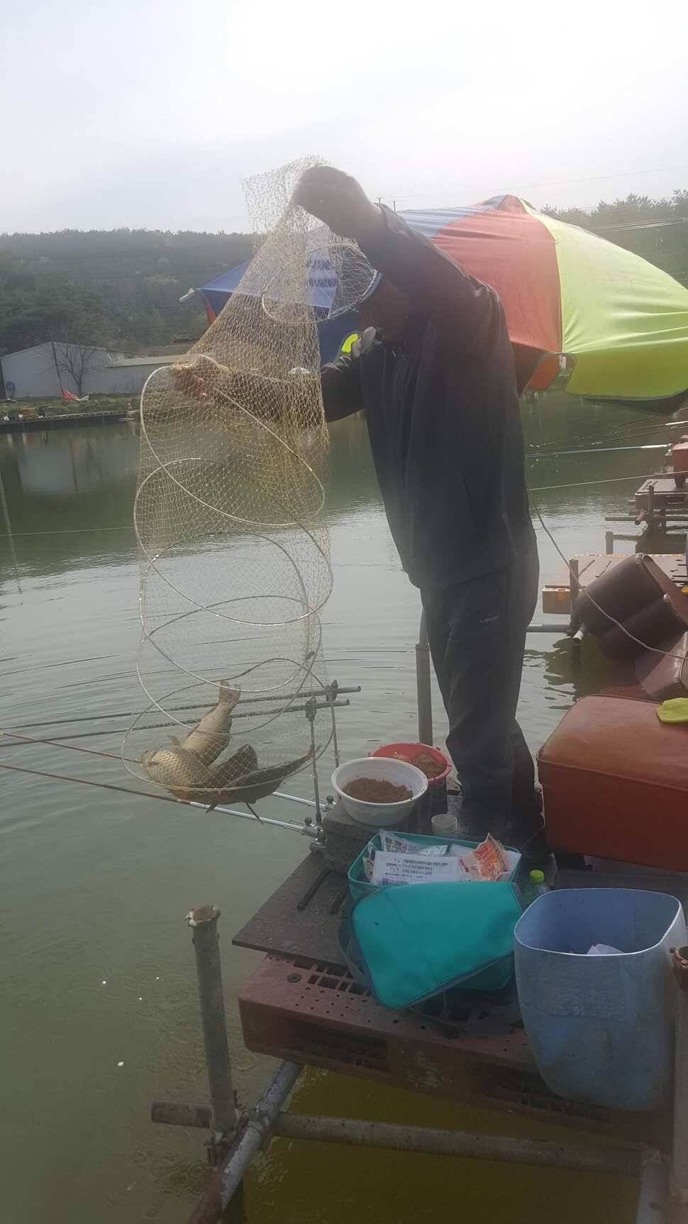 경주 동산낚시터붕어 전용잡이터지난주 조황 (유료터정보 - 유료터점주조황)