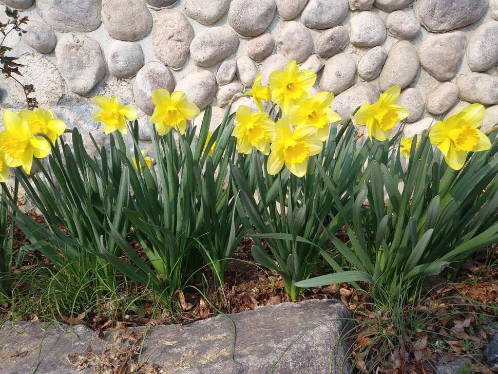 아산 안골지 조황정보 입니다 (유료터정보 - 유료터점주조황)