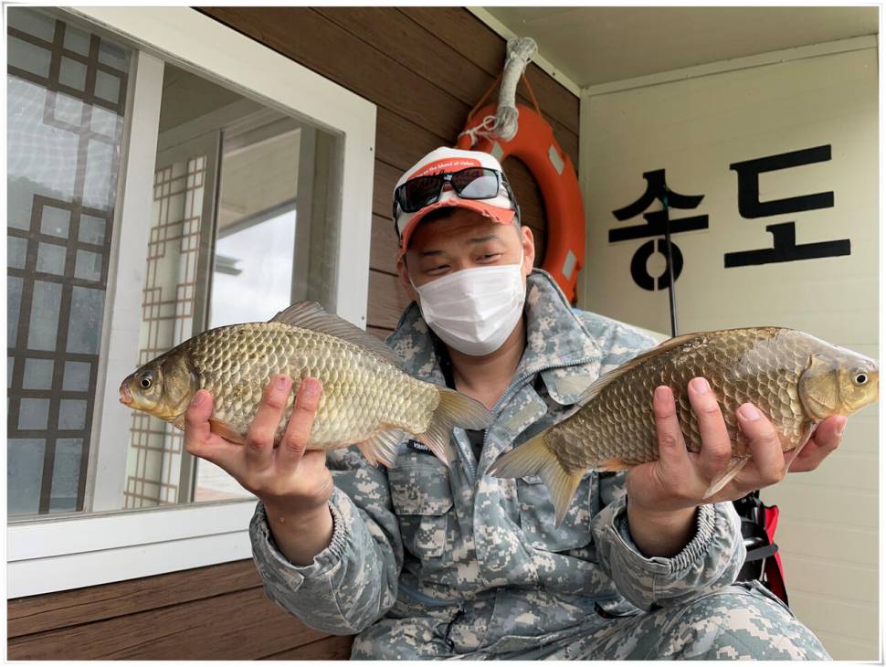 산란 송전지 송전낚시터 송도좌대 조황 (유료터정보 - 유료터점주조황)