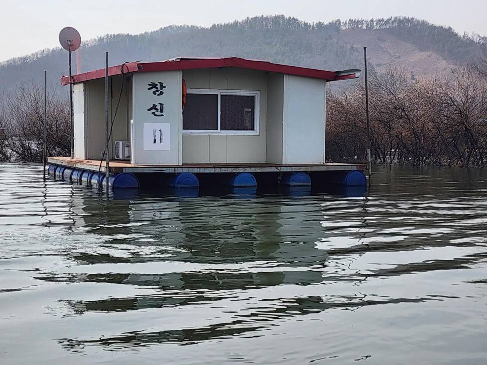 송전지 창신좌대 조황정보 (유료터정보 - 유료터점주조황)