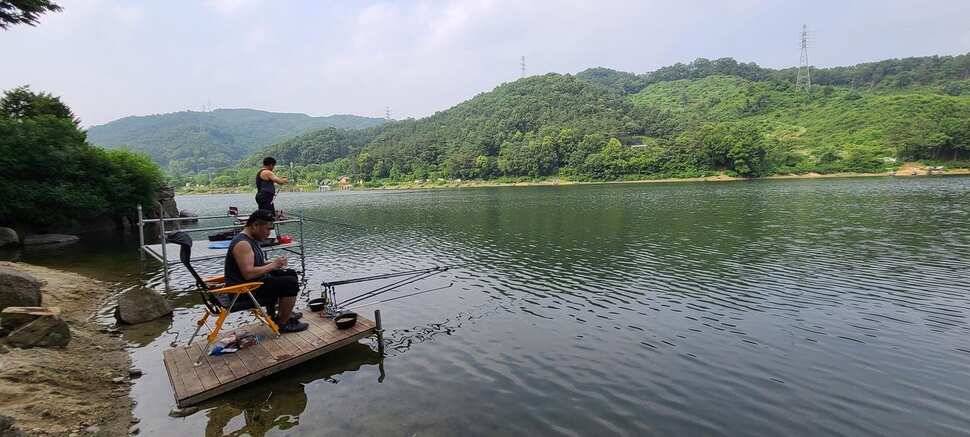 피서 여름낚시 힐링 수곡낚시터 금요일토요일 조황소식 입니다 (유료터정보 - 유료터점주조황)