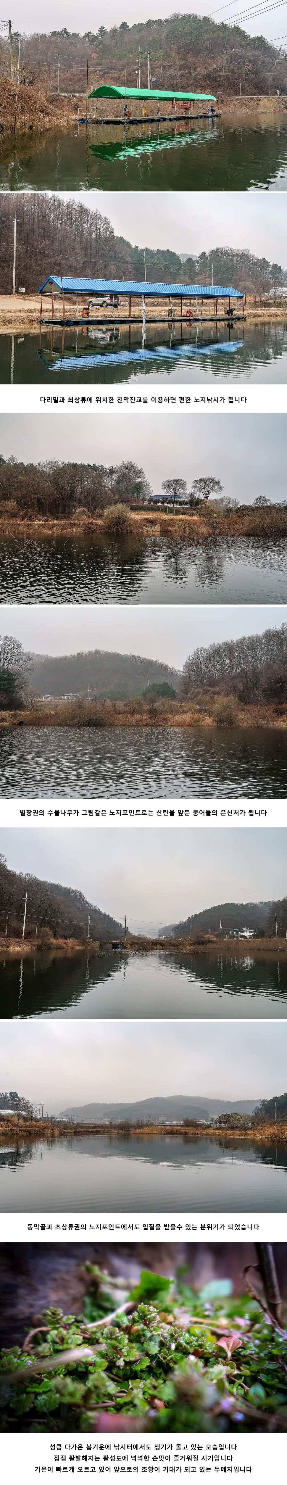 안성 두메낚시터 2월 29일 조황정보 (유료터정보 - 유료터점주조황)