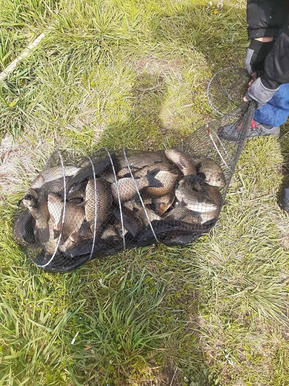 경주 동산낚시터붕어 전용잡이터지난주 조황 (유료터정보 - 유료터점주조황)