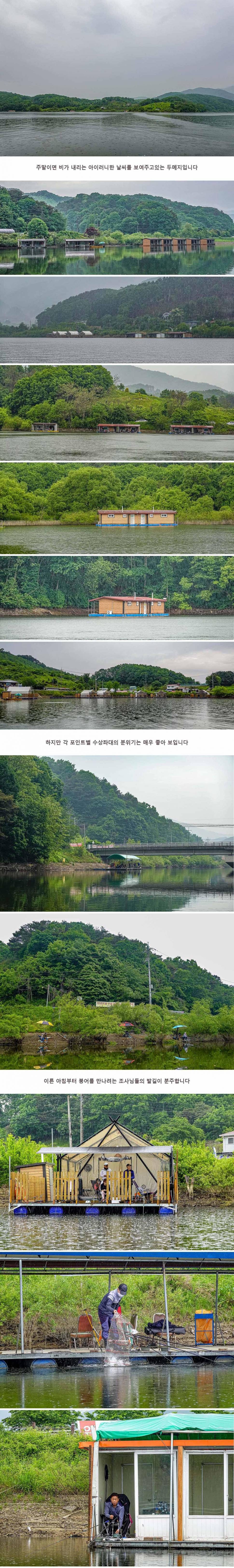 안성 두메낚시터 5월 15일 조황정보 (유료터정보 - 유료터점주조황)