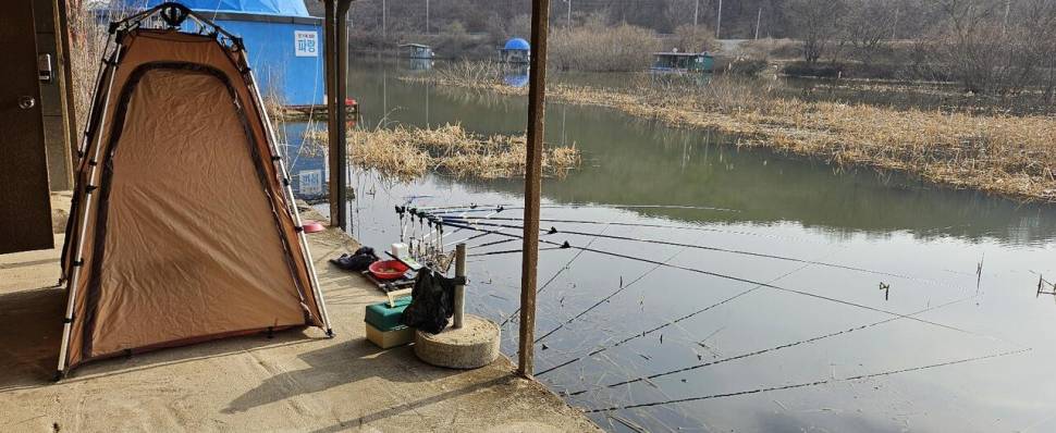 당진 가교리 낚시터 3월 11일 조황입니다 (유료터정보 - 유료터점주조황)