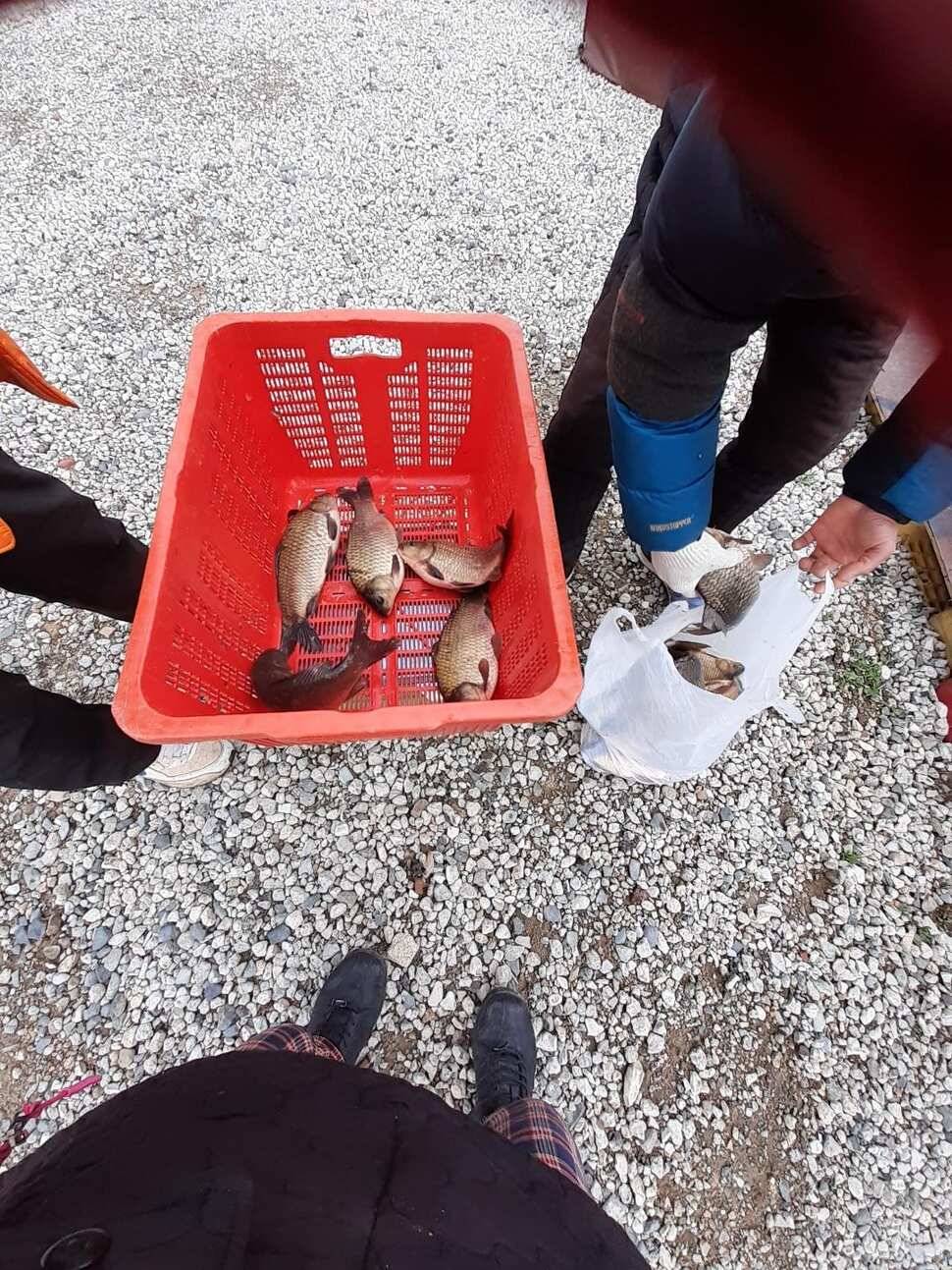 경주 동산낚시터붕어 전용잡이터지난주 조황 (유료터정보 - 유료터점주조황)